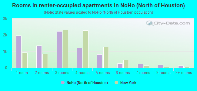 Rooms in renter-occupied apartments in NoHo (North of Houston)
