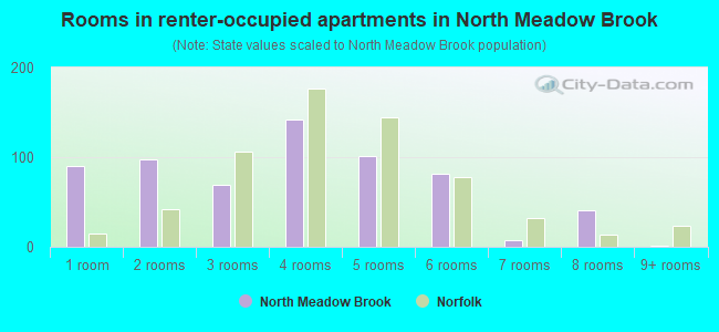 Rooms in renter-occupied apartments in North Meadow Brook