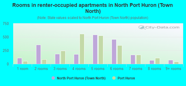 Rooms in renter-occupied apartments in North Port Huron (Town North)