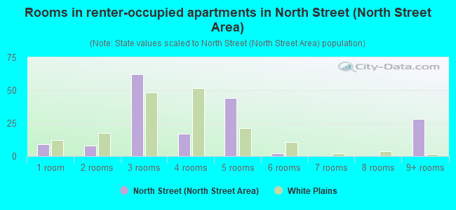 Rooms in renter-occupied apartments in North Street (North Street Area)