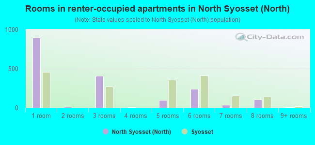 Rooms in renter-occupied apartments in North Syosset (North)