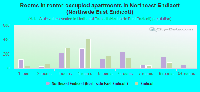 Rooms in renter-occupied apartments in Northeast Endicott (Northside East Endicott)