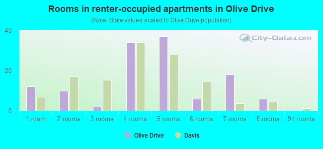 Rooms in renter-occupied apartments in Olive Drive