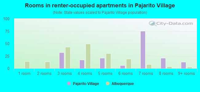 Rooms in renter-occupied apartments in Pajarito Village