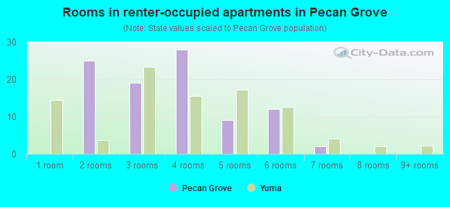 Rooms in renter-occupied apartments in Pecan Grove