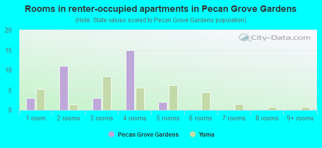Rooms in renter-occupied apartments in Pecan Grove Gardens