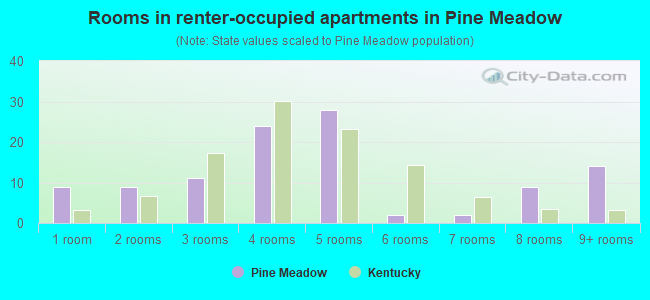 Rooms in renter-occupied apartments in Pine Meadow