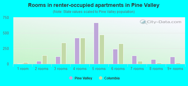 Rooms in renter-occupied apartments in Pine Valley
