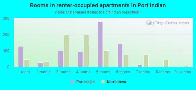 Rooms in renter-occupied apartments in Port Indian