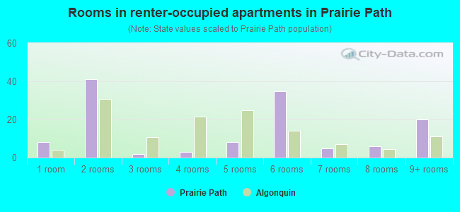 Rooms in renter-occupied apartments in Prairie Path