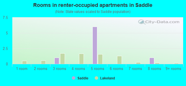 Rooms in renter-occupied apartments in Saddle
