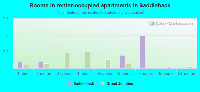 Rooms in renter-occupied apartments in Saddleback