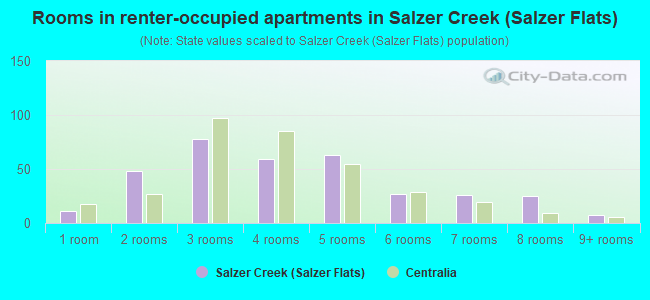 Rooms in renter-occupied apartments in Salzer Creek (Salzer Flats)