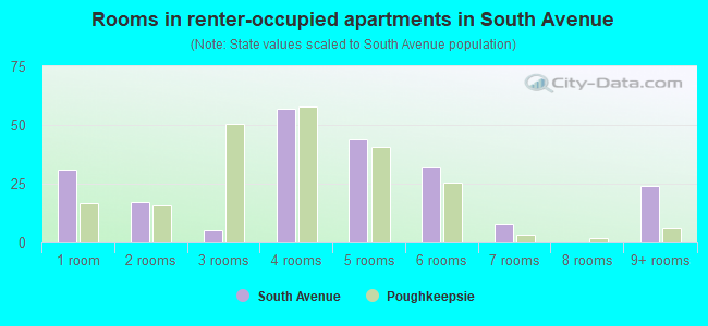 Rooms in renter-occupied apartments in South Avenue