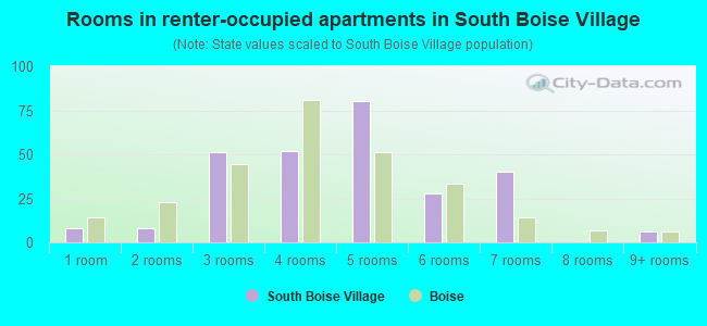 Rooms in renter-occupied apartments in South Boise Village