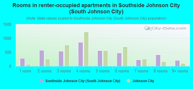 Rooms in renter-occupied apartments in Southside Johnson City (South Johnson City)