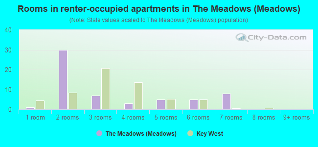 Rooms in renter-occupied apartments in The Meadows (Meadows)