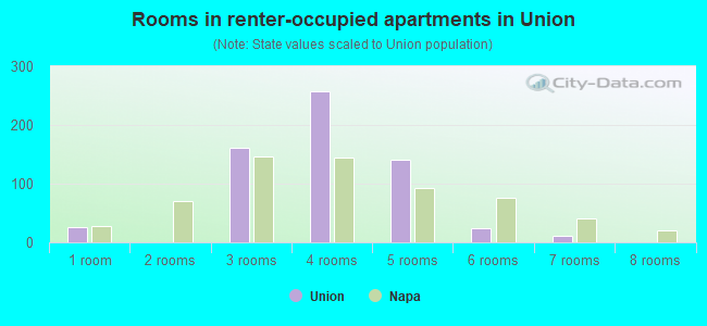 Rooms in renter-occupied apartments in Union
