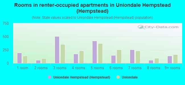 Rooms in renter-occupied apartments in Uniondale Hempstead (Hempstead)