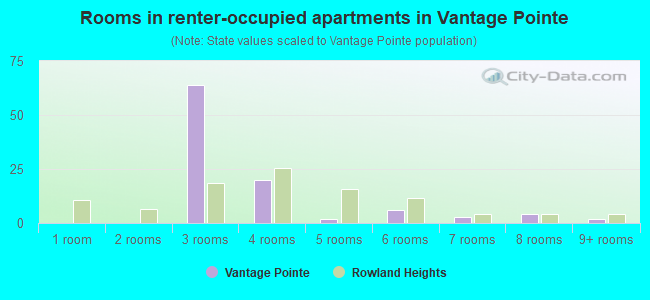Rooms in renter-occupied apartments in Vantage Pointe