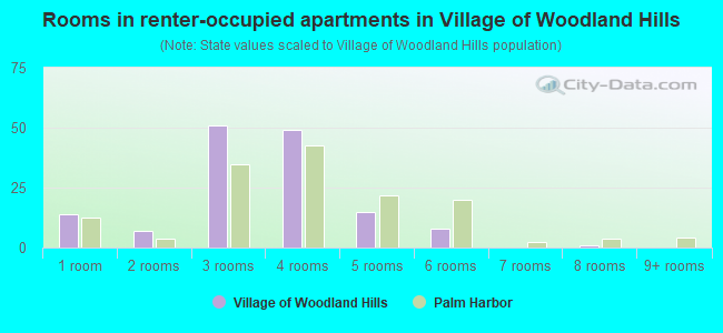 Rooms in renter-occupied apartments in Village of Woodland Hills
