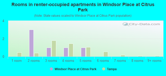 Rooms in renter-occupied apartments in Windsor Place at Citrus Park