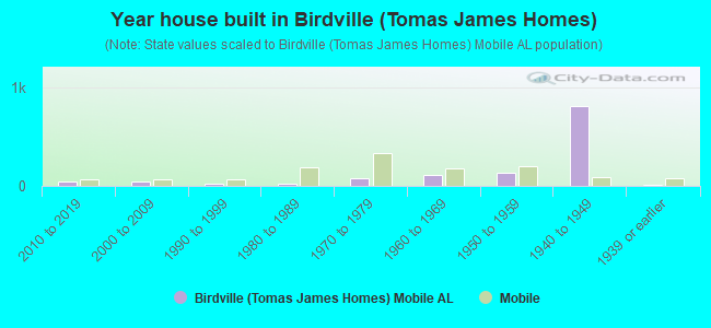 Year house built in Birdville (Tomas James Homes)