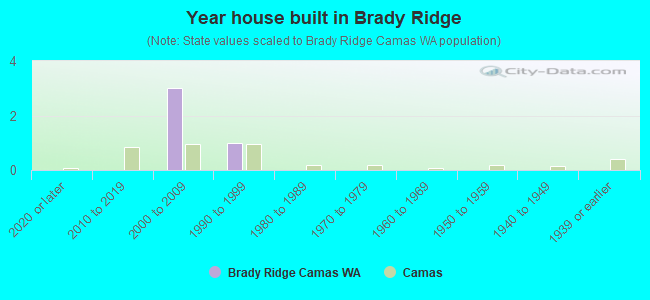 Year house built in Brady Ridge