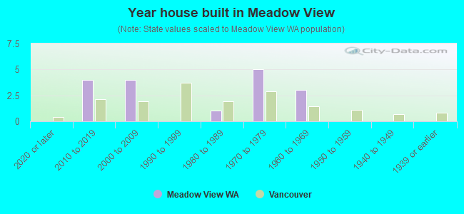 Year house built in Meadow View