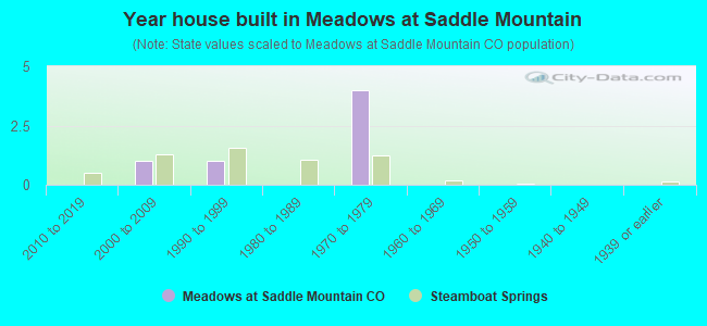 Year house built in Meadows at Saddle Mountain