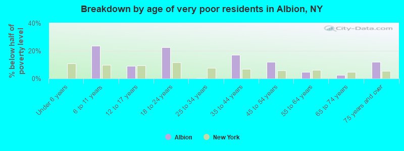 Breakdown by age of very poor residents in Albion, NY