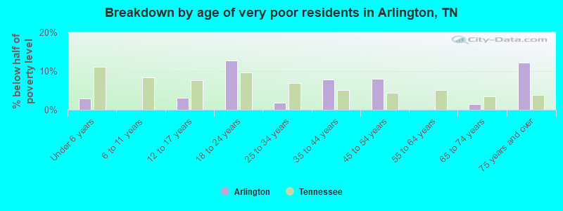 Breakdown by age of very poor residents in Arlington, TN