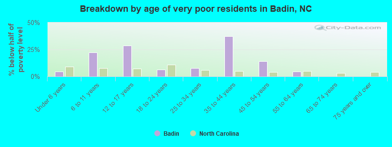 Breakdown by age of very poor residents in Badin, NC