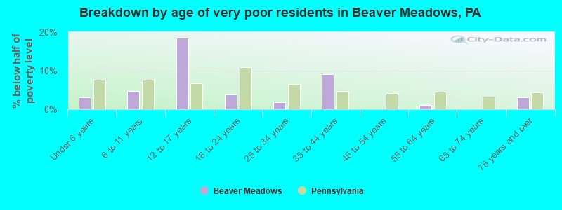 Breakdown by age of very poor residents in Beaver Meadows, PA