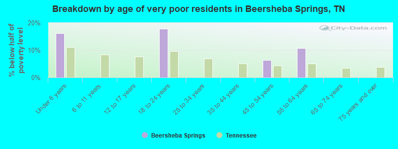 Breakdown by age of very poor residents in Beersheba Springs, TN