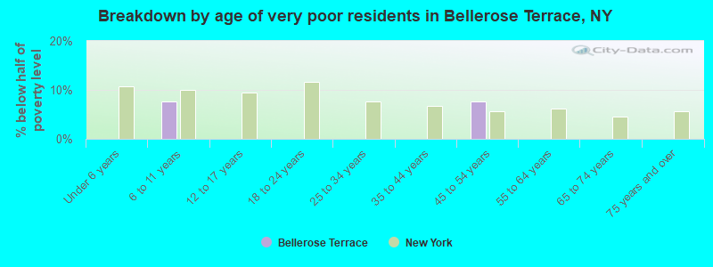Breakdown by age of very poor residents in Bellerose Terrace, NY