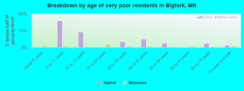 Breakdown by age of very poor residents in Bigfork, MN