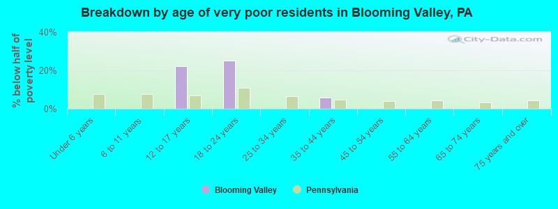 Breakdown by age of very poor residents in Blooming Valley, PA