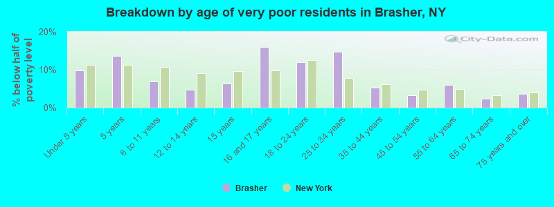 Breakdown by age of very poor residents in Brasher, NY