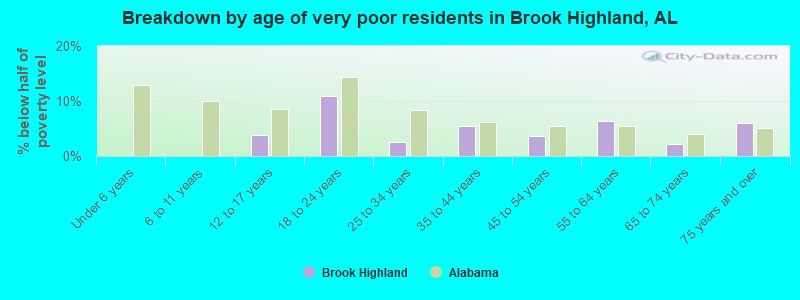 Breakdown by age of very poor residents in Brook Highland, AL