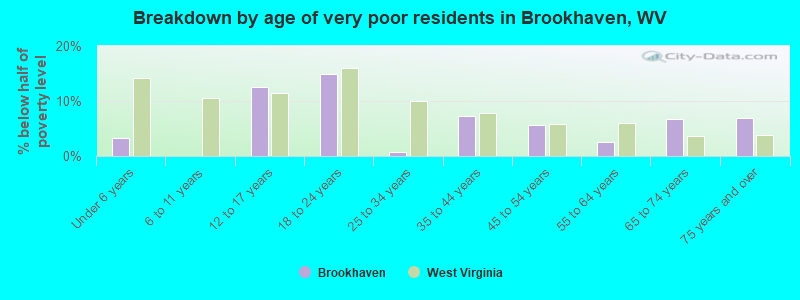 Breakdown by age of very poor residents in Brookhaven, WV
