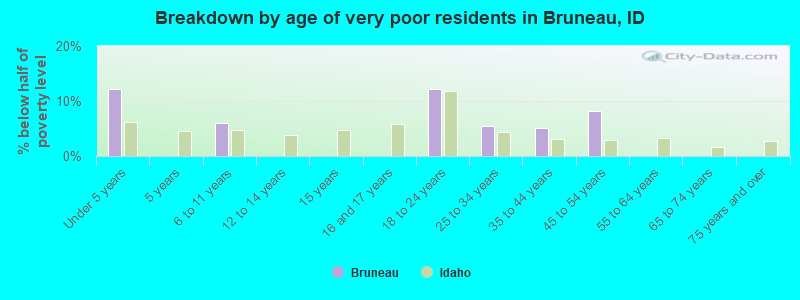 Breakdown by age of very poor residents in Bruneau, ID