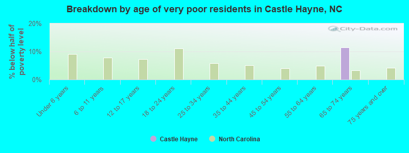 Breakdown by age of very poor residents in Castle Hayne, NC