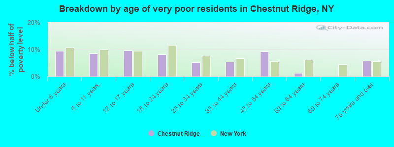 Breakdown by age of very poor residents in Chestnut Ridge, NY