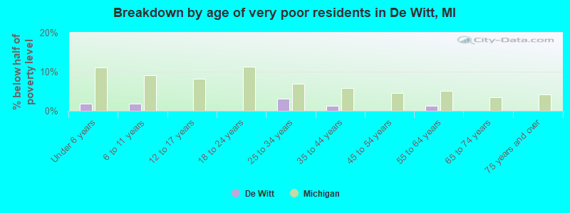 Breakdown by age of very poor residents in De Witt, MI