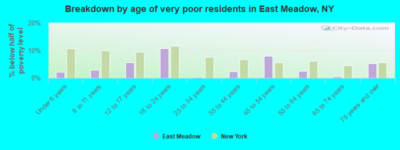 Breakdown by age of very poor residents in East Meadow, NY