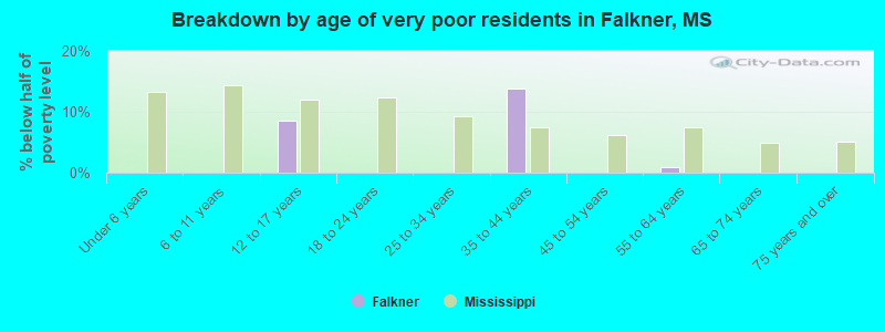 Breakdown by age of very poor residents in Falkner, MS