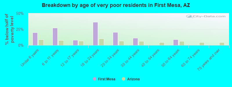 Breakdown by age of very poor residents in First Mesa, AZ