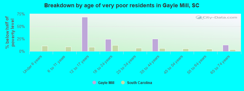Breakdown by age of very poor residents in Gayle Mill, SC