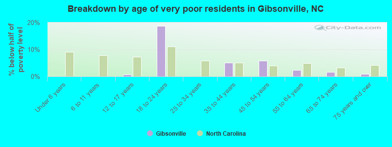 Breakdown by age of very poor residents in Gibsonville, NC